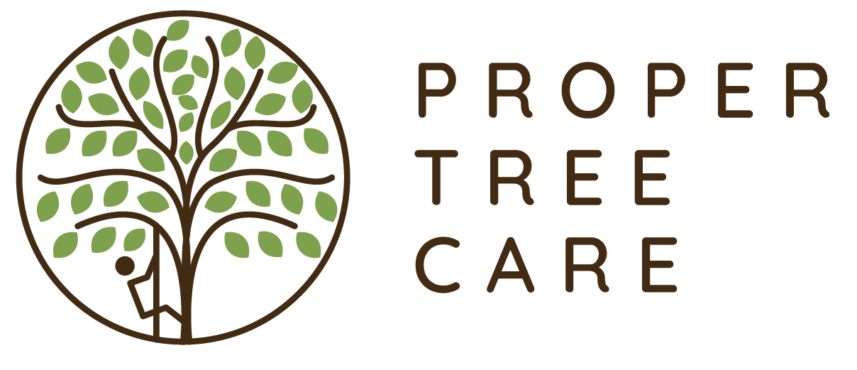 Proper Tree Care